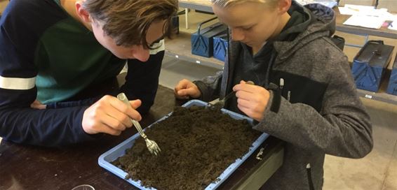 Leerlingen op zoek naar bodemdiertjes - Bocholt