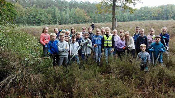 Leerlingen Pieter Brueghelschool beheren de heide