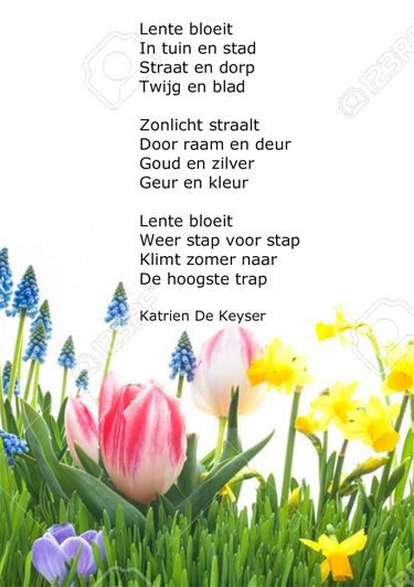 Lente bloeit - Beringen