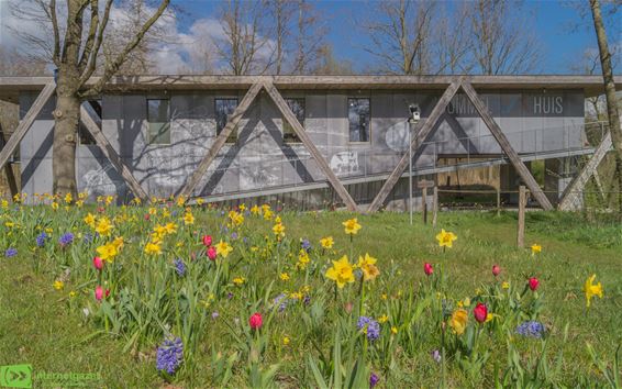 Lentekleuren aan het Dommelhuis - Peer