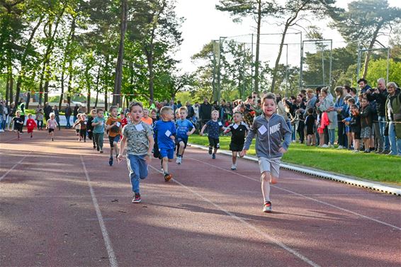 Lenteloop onder een heerlijk zonnetje - Lommel