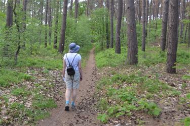 Lentetocht wandelclub Paul Gerard - Beringen