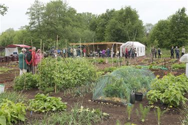 Leren moestuinieren door Velt - Beringen