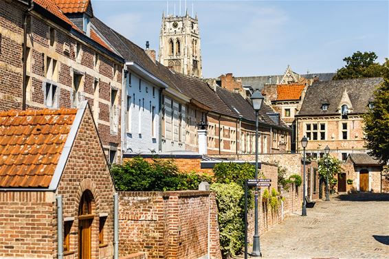 Leuke stadswandeling: de blauwe Mijlpaalroute - Tongeren