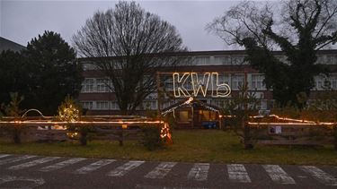 Levende dieren in kerststal KWB Kattenbos - Lommel