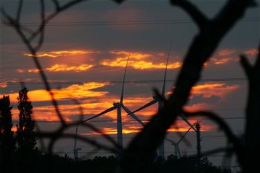 Licht wisselvallig - Beringen