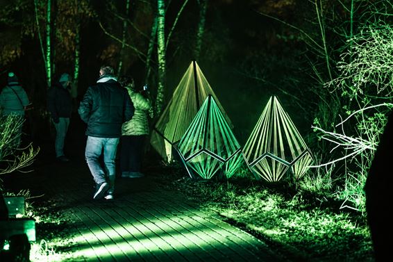 Lichtfestival Luminatura komt naar Beringen - Beringen