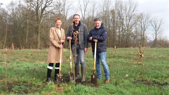 Limburg.net plant 2.400 bomen - Leopoldsburg