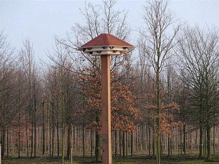 Lochterdijk krijgt eerste zwaluwentil - Neerpelt