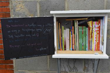Loes plaatst boekenkastje in Beverlo - Beringen