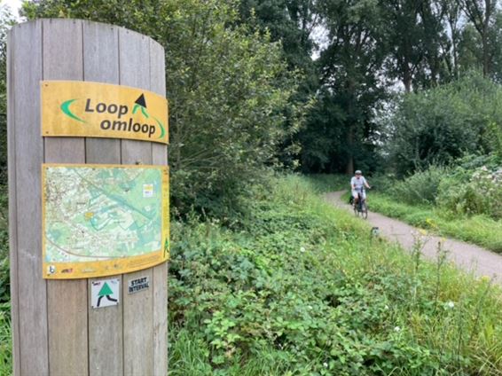 Loopomloop BLOSO - Beringen