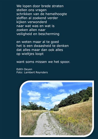 Lopen door brede straten
