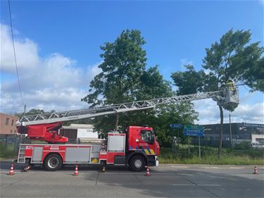 Loshangende takken door wind - Beringen