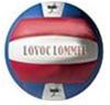 Lovoc-volleyteams bekeren verder - Lommel