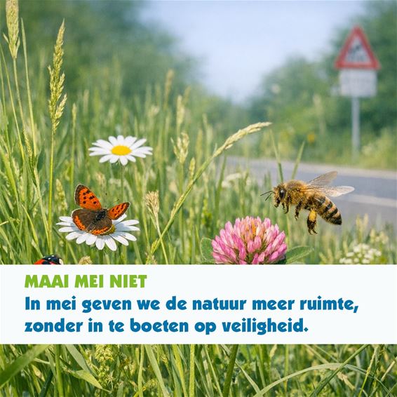Maai Mei Niet in Bocholt - Bocholt