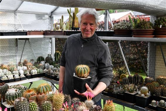 Maak kennis met de 6000 cactussen van Paul - Beringen