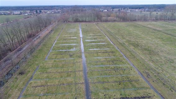 Maak kennis met 'Witteren' aan het Wateringhuis - Lommel