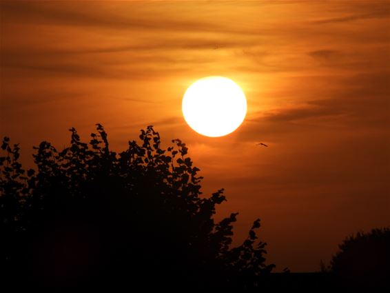 Magische luchten - Lommel