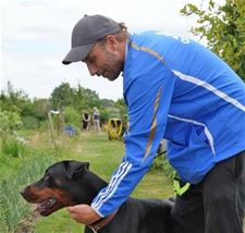 Matthias Schoenaerts in Knack Focus