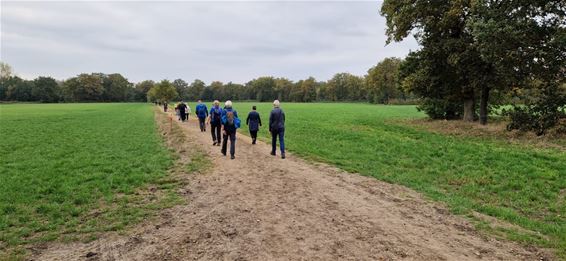 Meer dan duizend wandelaars bij Kluiswandeling - Hamont-Achel