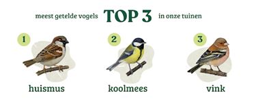 Hechtel-Eksel - Meeste vogels in Limburgse tuinen