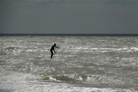 Mercator aan zee - Pelt