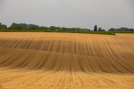 Met de groeten uit Huldenberg - Lommel