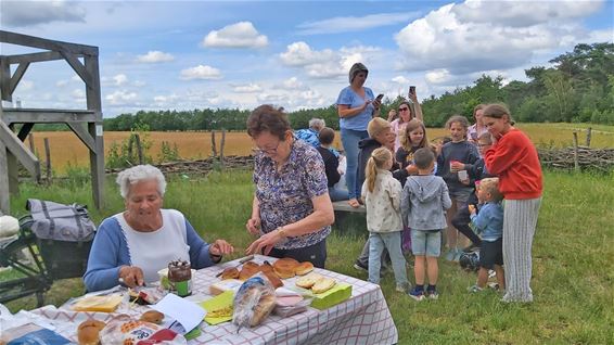 Met de huifkar naar de Vlindervallei - Lommel