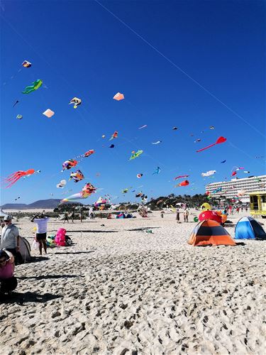 Met vakantiegroeten uit... Fuerteventura - Pelt