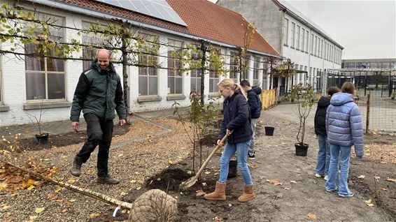 'Minder ruzie, meer concentratie' - Leopoldsburg
