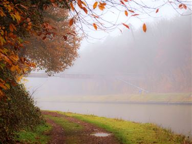 Mist, het levert mooie foto's op - Lommel