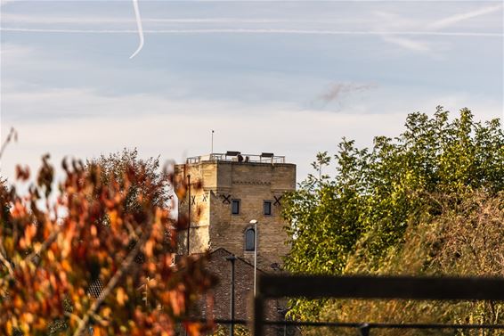 Moerenpoortmuseum gratis te bezoeken - Tongeren