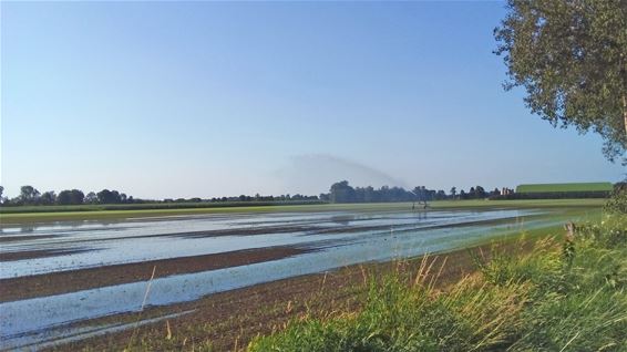 Moet er nog water zijn? - Peer