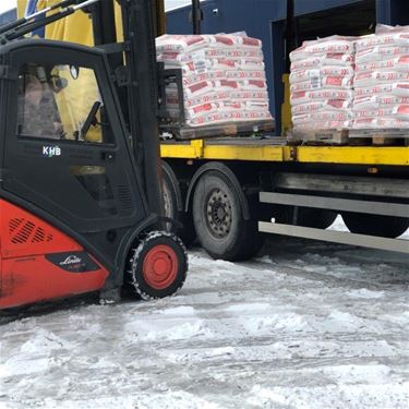 Beringen - Moet er nog zout zijn?