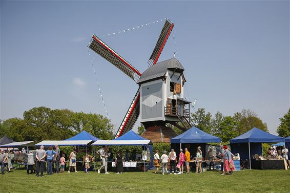 Molenfeesten een succes - Lommel