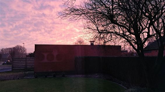 Mooi begin, fletse afloop - Pelt