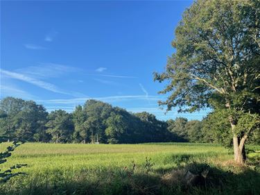 Mooi fiets- en wandelweer - Beringen