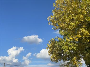 Mooi herfstweer - Beringen & Leopoldsburg
