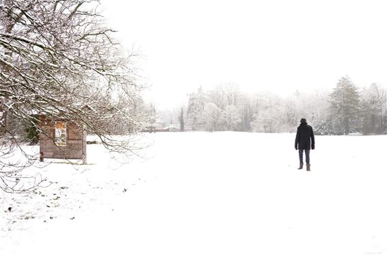 Mooi sneeuwtapijt maar opgelet op de weg - Leopoldsburg