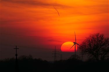 Mooie dagen in het verschiet - Beringen & Leopoldsburg