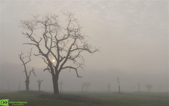 Mooie dagen voor fotografen - Pelt
