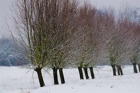 Mooie foto's? - Hechtel-Eksel