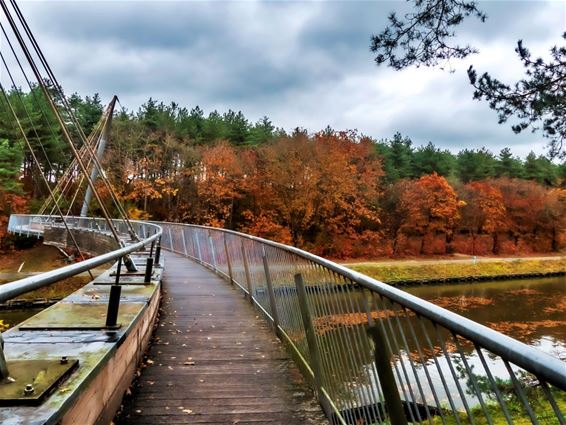 Mooie herfstkleuren aan de voetgangersbrug - Lommel