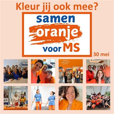 Lommel - MS-Liga wil Vlaanderen oranje kleuren