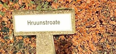 Mysterie in Hamont? Geenszins… toch niet voor ons - Hamont-Achel