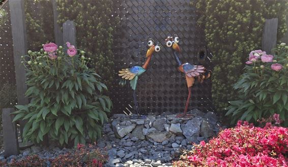 Mysterie in tuin op Ter Biest - Pelt