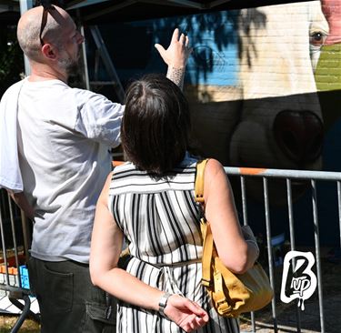 Bree - Mysterie van de Boneput herleeft in street-art