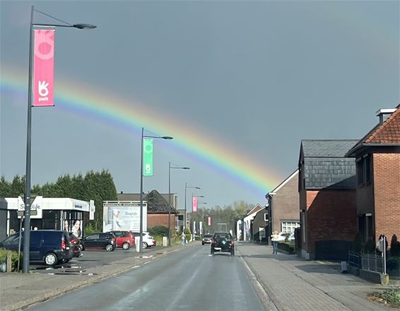 Na de zondvloed komt de regenboog - Pelt