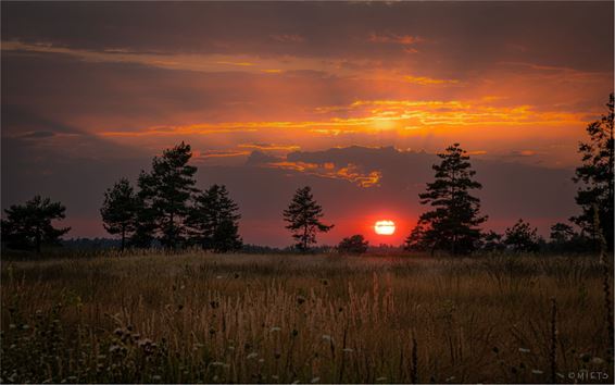 Na een snikhete dag in augustus... - Lommel