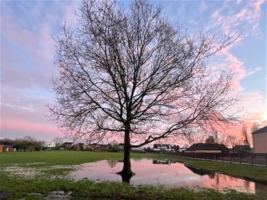 Na regen komt zonneschijn - Beringen & Leopoldsburg